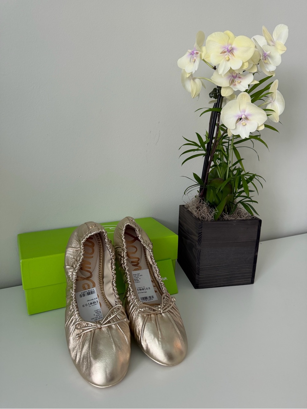 Sam Edelman Metallic Champagne Ballet Flats